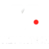 vizyonIPTV